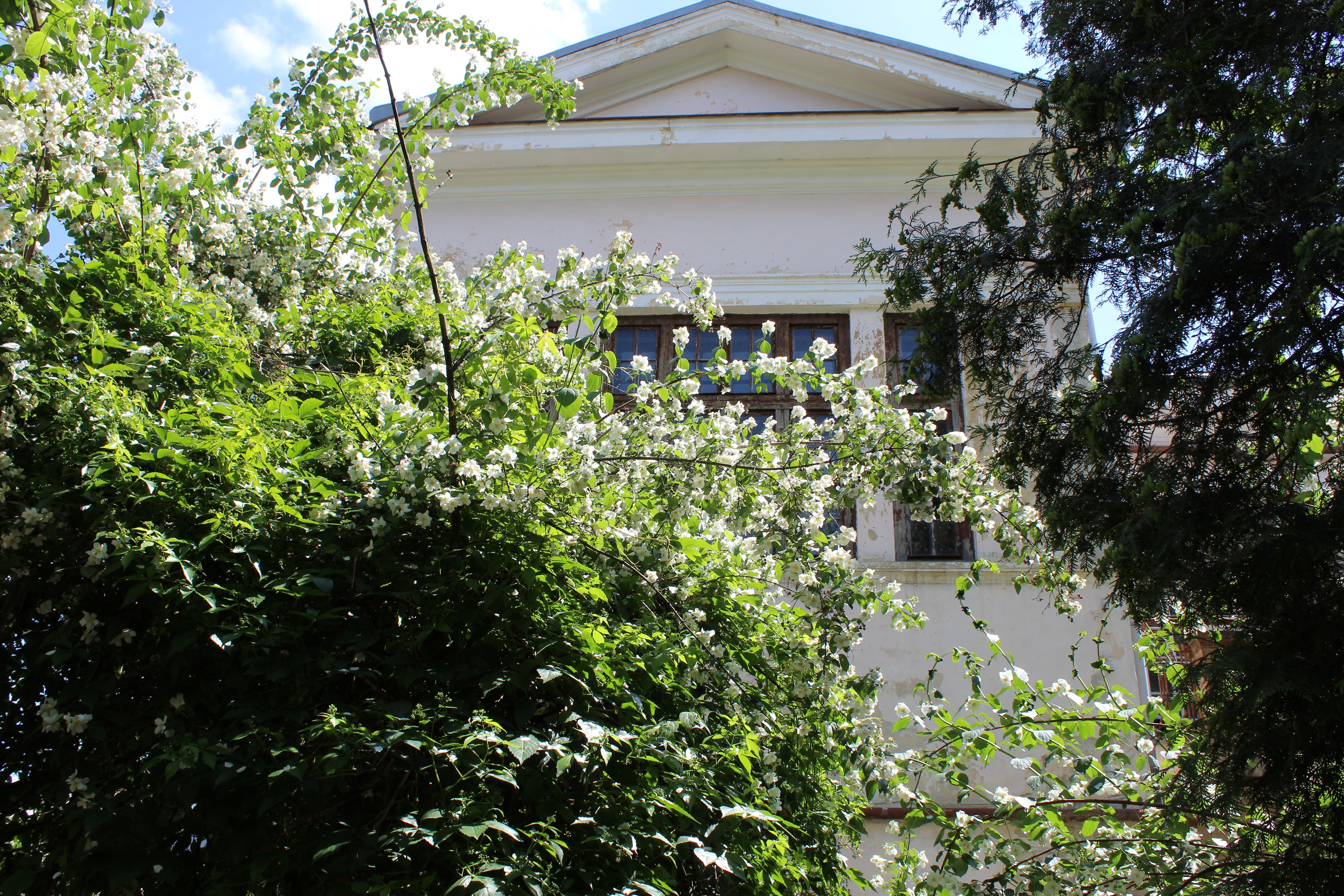 /Anatolij Dobryanskyj Municipal Library